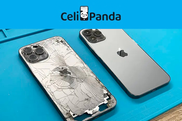 Celi Panda